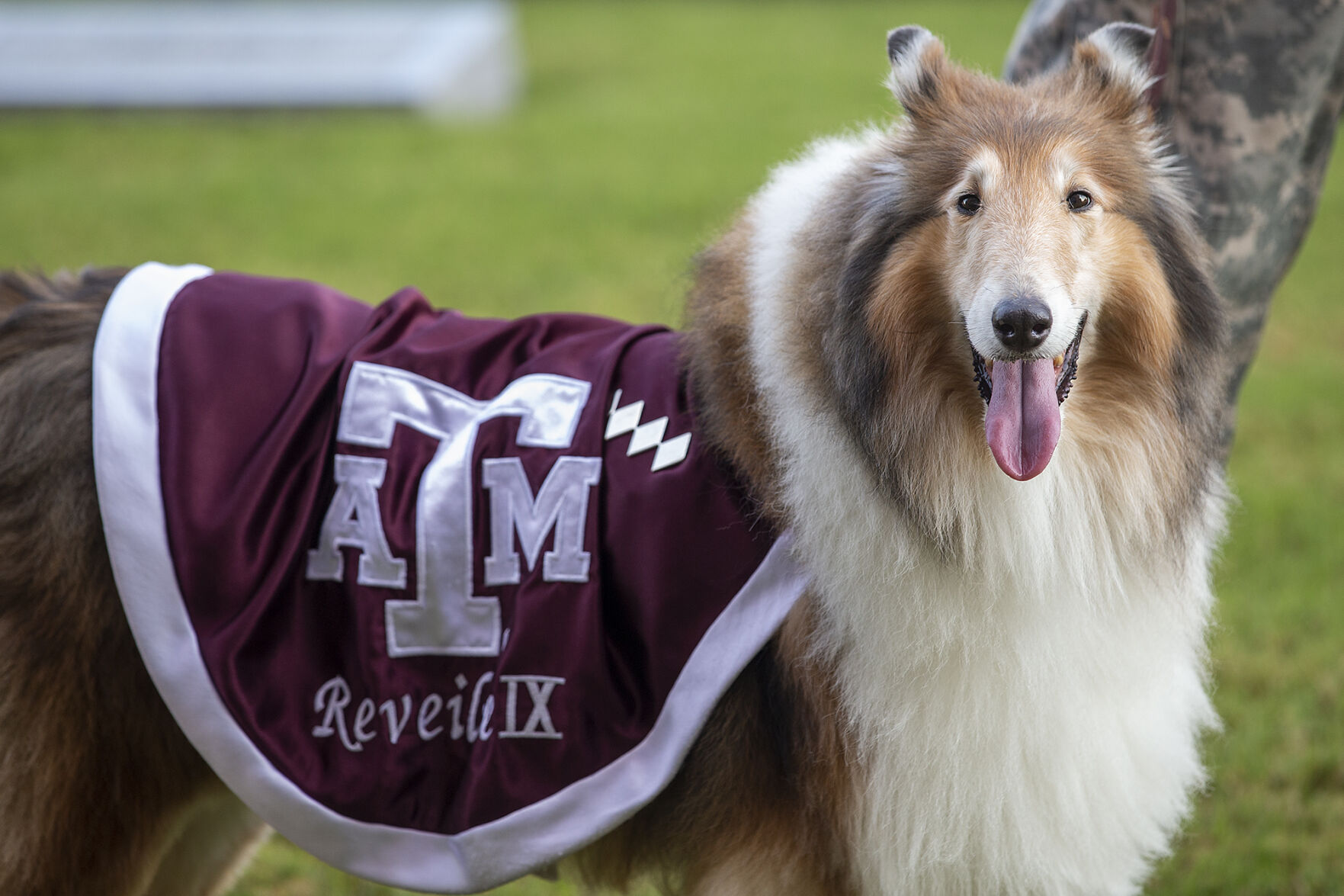 Reveille IX handler ceremony